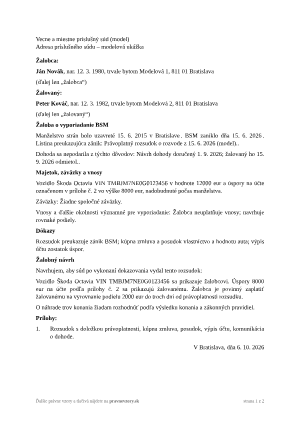 Žaloba o vyporiadanie BSM – vyplnený vzor: spor o auto a úspory – náhľad prvej strany